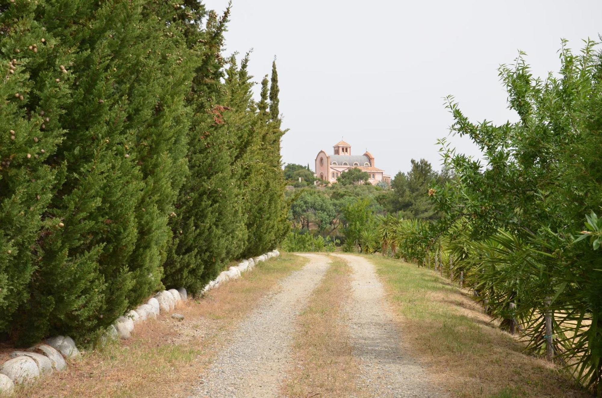 Borgo Piazza Bed and Breakfast Καταντζάρο Δωμάτιο φωτογραφία