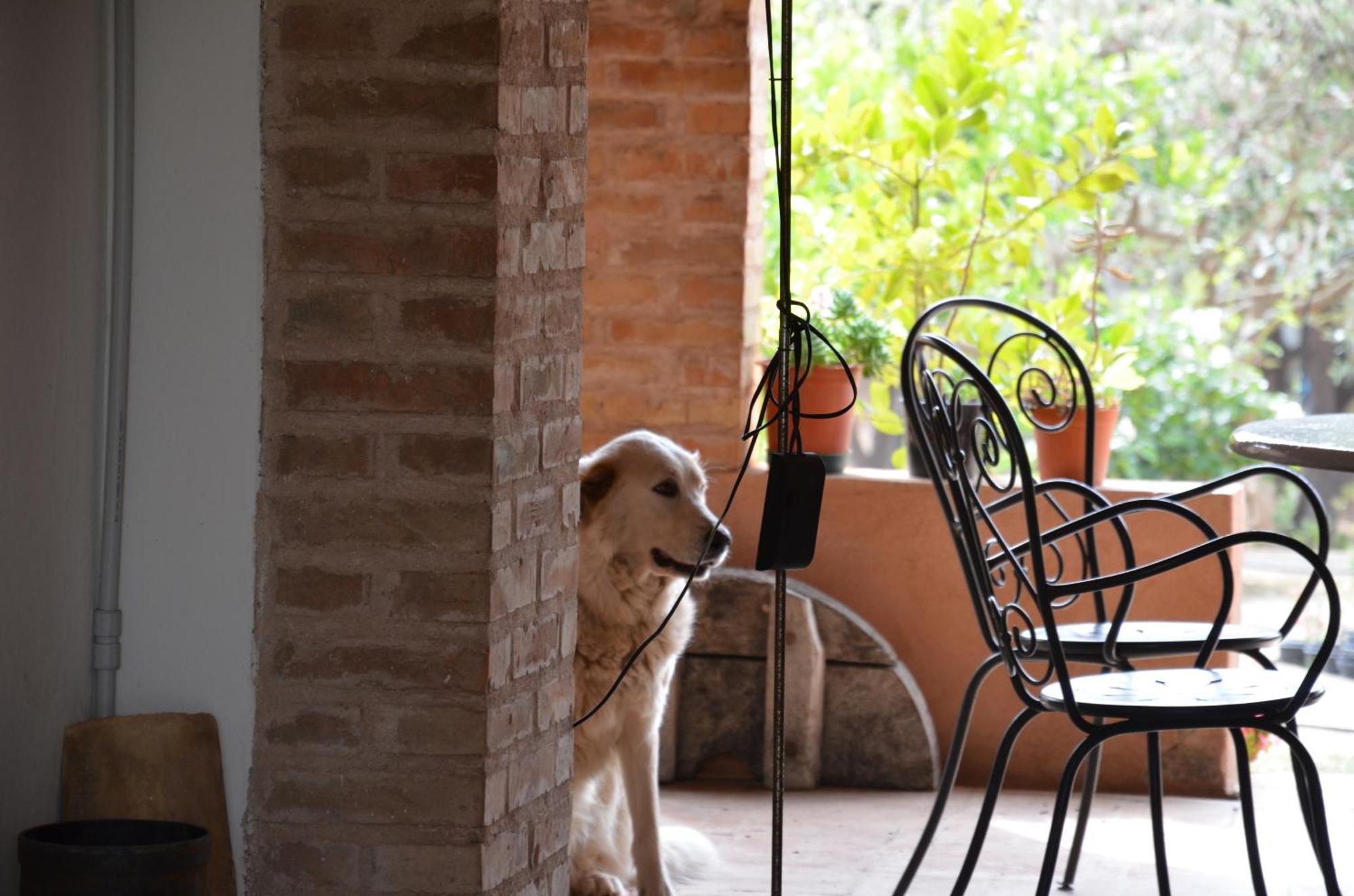 Borgo Piazza Bed and Breakfast Καταντζάρο Δωμάτιο φωτογραφία