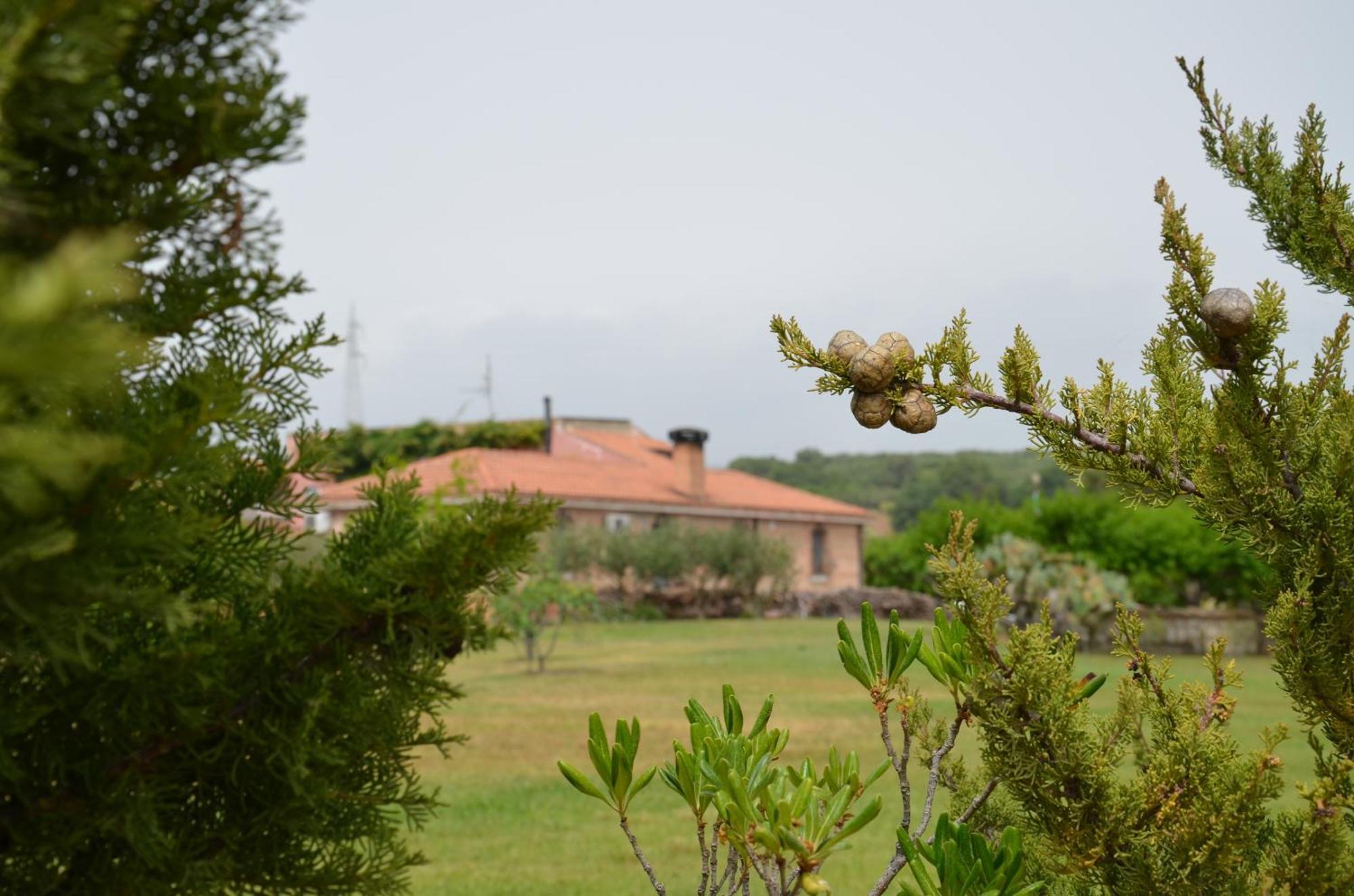 Borgo Piazza Bed and Breakfast Καταντζάρο Δωμάτιο φωτογραφία