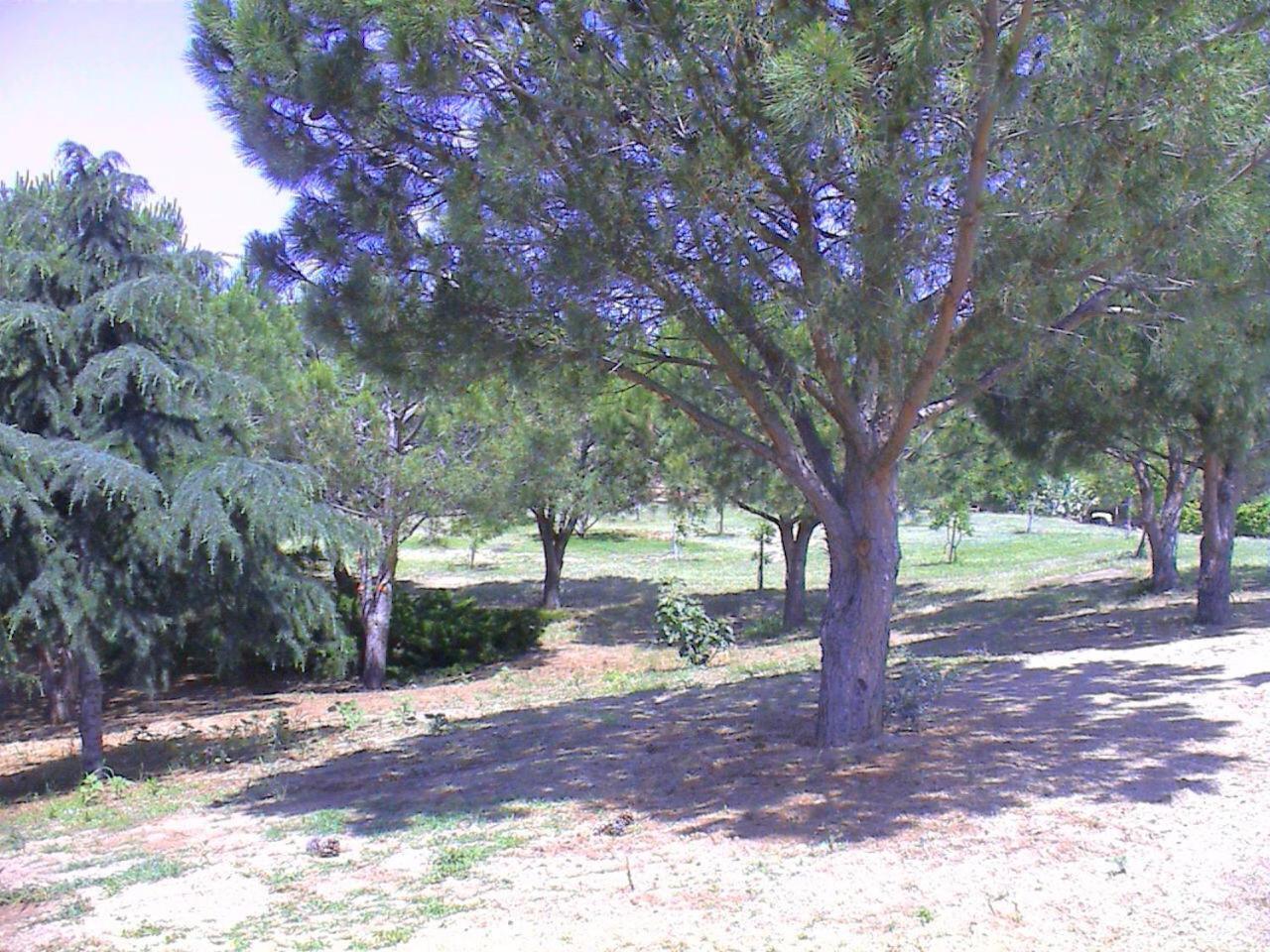 Borgo Piazza Bed and Breakfast Καταντζάρο Εξωτερικό φωτογραφία